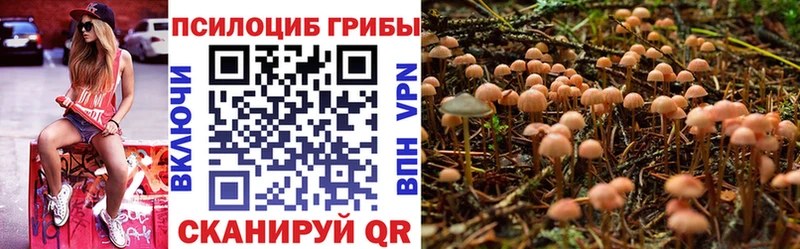 где купить наркоту  Белоусово  Галлюциногенные грибы GOLDEN TEACHER 